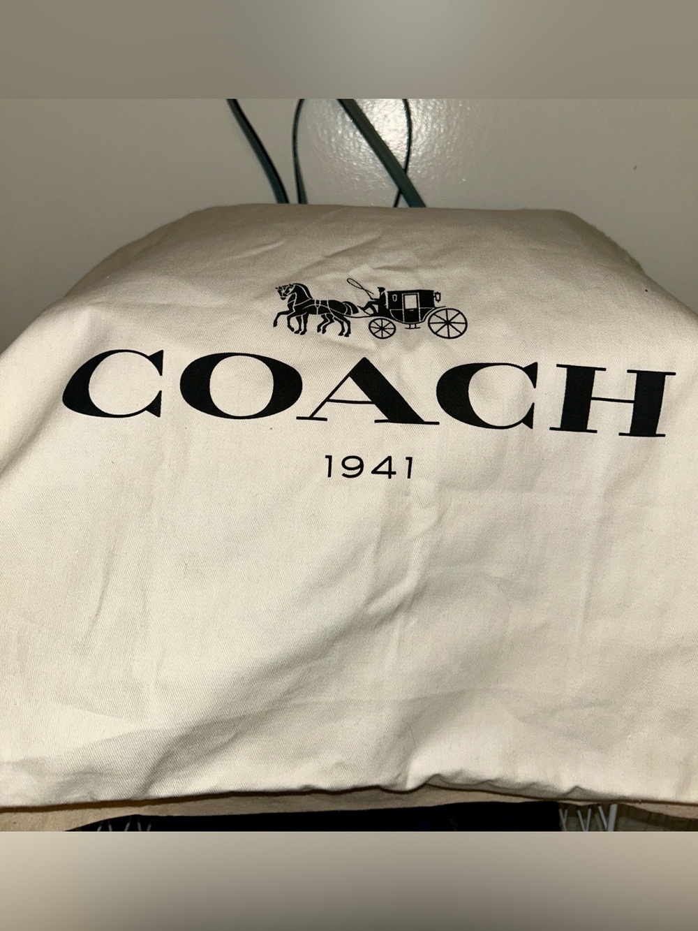 Coach Reversible City Tote with “Owltini”Party Owl Print. Super fun!!! - Picture 15 of 16